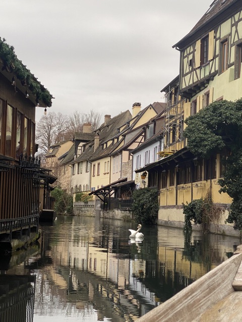 Colmar visite de la ville 04