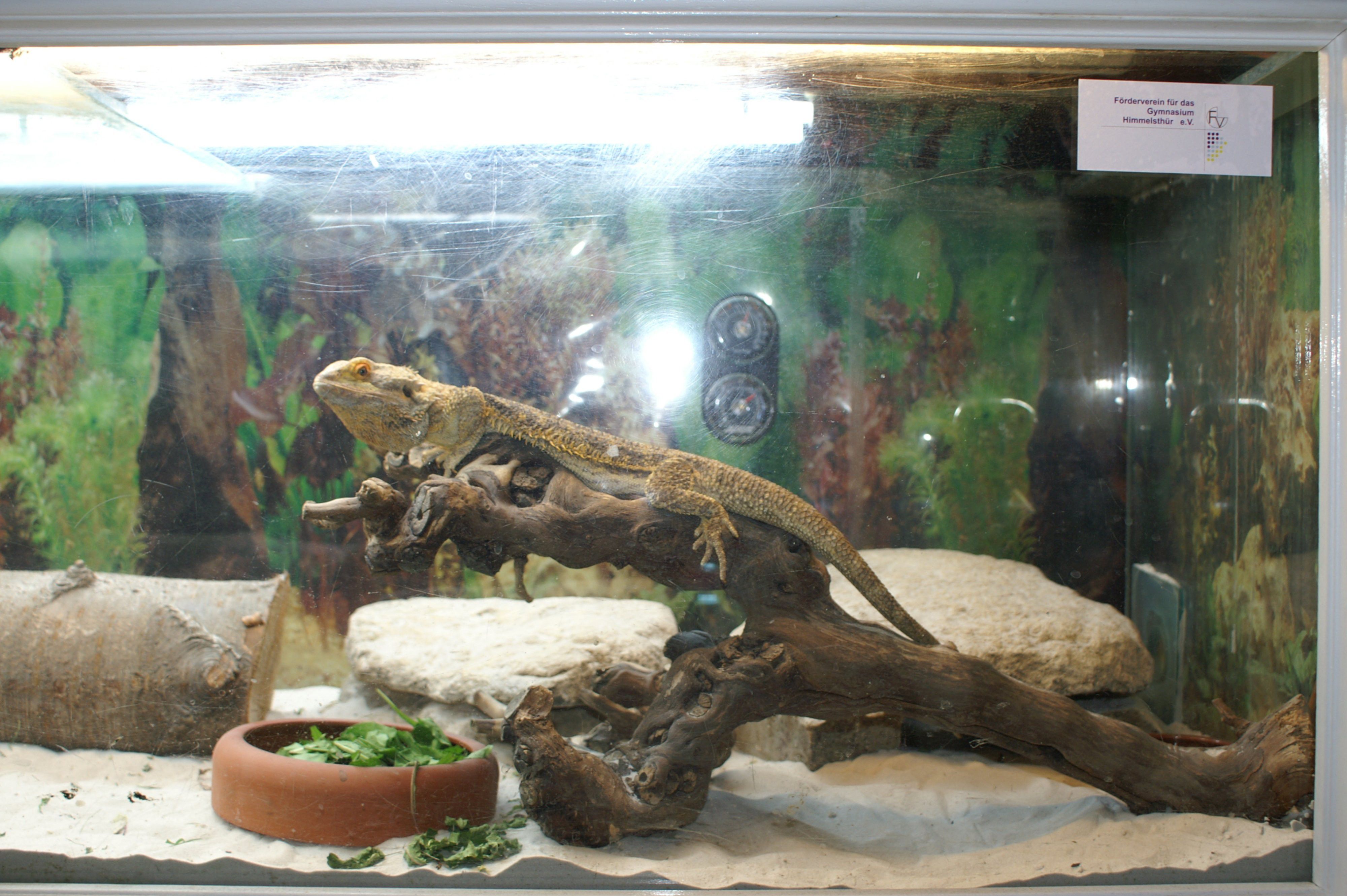 Terrarium